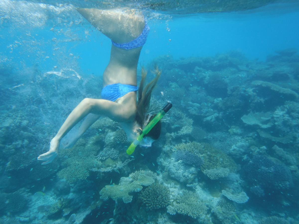 萨勒斯度岛 Surf Trip Maldives酒店 外观 照片